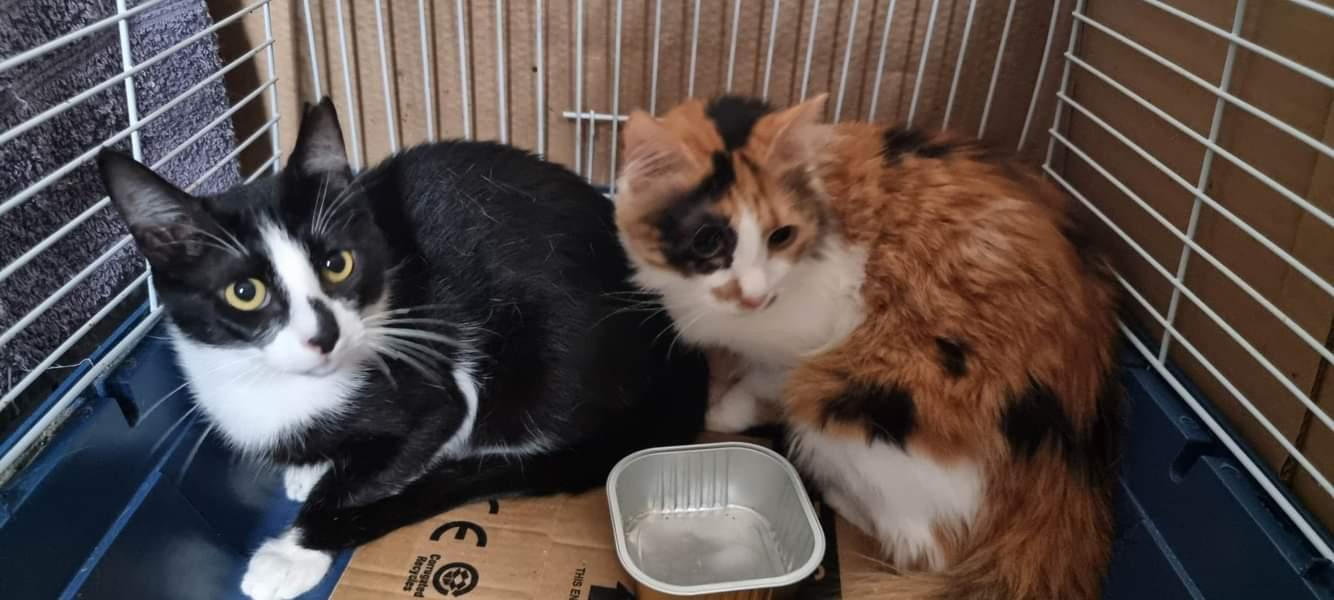 Jack & Oona Jack & Oona