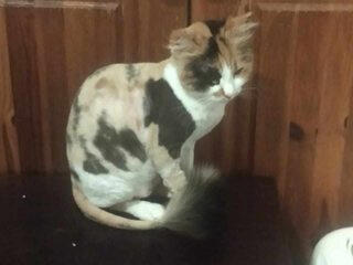 Jack & Oona Jack & Oona