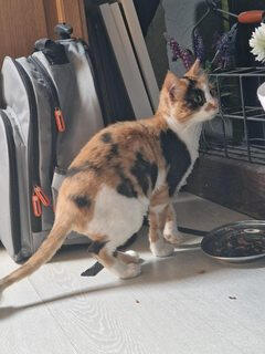 Jack & Oona Jack & Oona